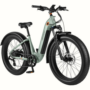 Retrospec Koa Rev+ 26” Electric Fat Tire Bike - Step Through NEW for  2023