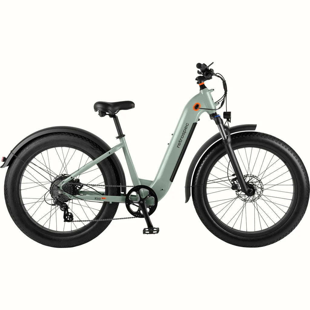 Retrospec Koa Rev+ 26” Electric Fat Tire Bike - Step Through NEW for  2023