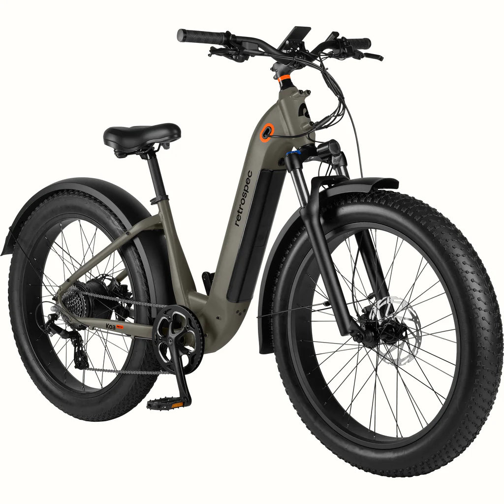 Retrospec Koa Rev 26 Electric Fat Tire Bike Step Through NEW